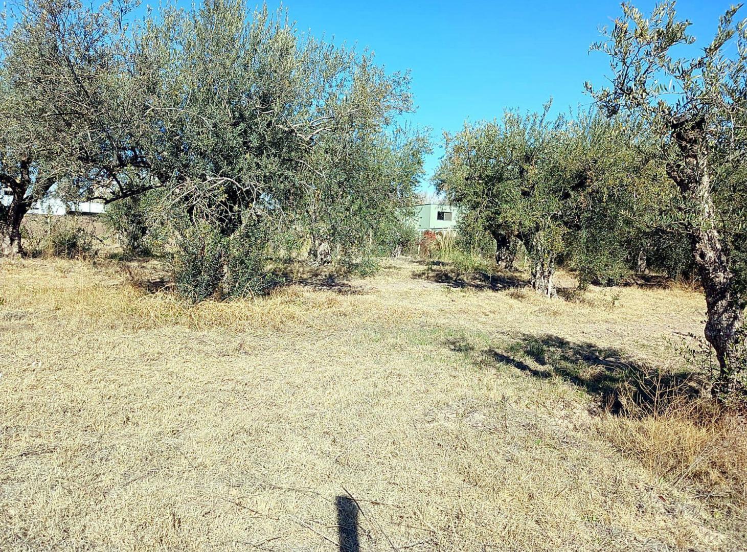 Foto de Venta Lote 879m2 Barrio Solares de Gabrielli Lujan, imagen 5