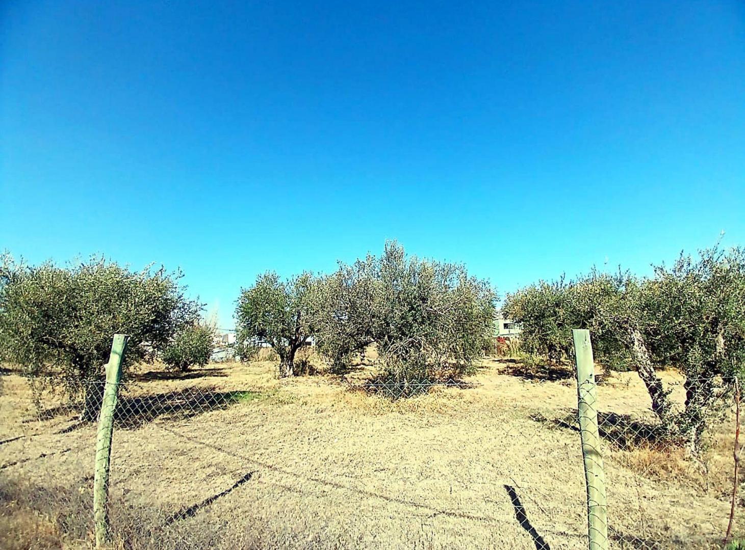Foto de Venta Lote 879m2 Barrio Solares de Gabrielli Lujan, imagen 1