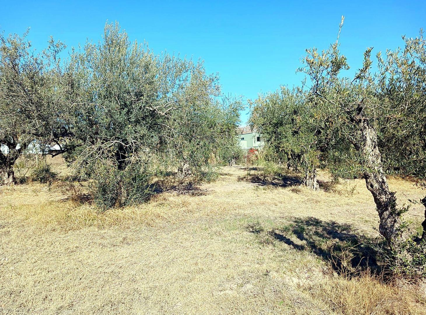 Foto de Venta Lote 879m2 Barrio Solares de Gabrielli Lujan, imagen 3