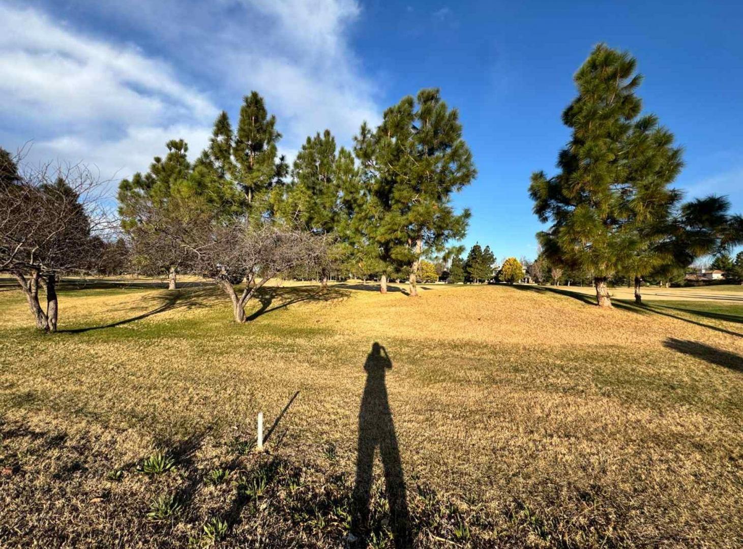 Foto de LOTE EN VENTA B PRIVADO LA VACHERIE MAIPU MENDOZA, imagen 4