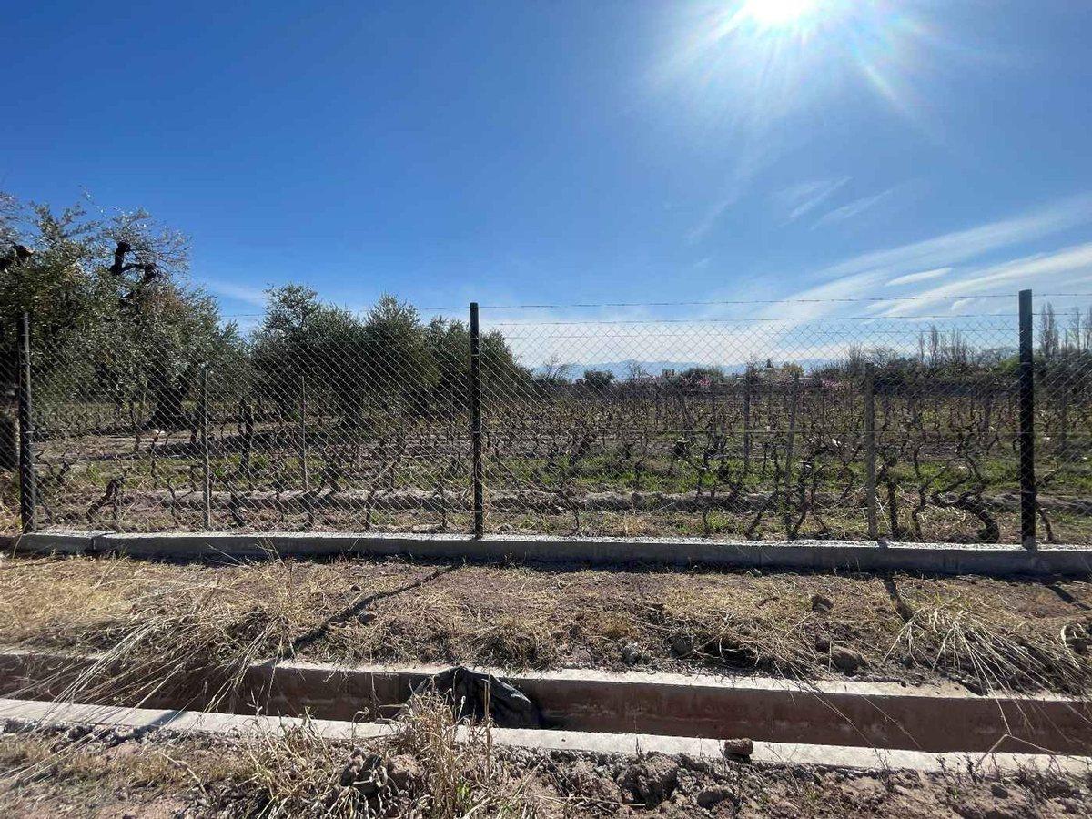 Foto de VENTA LOTE BARRIO CERRADO LUJAN DE CUYO MENDOZA, imagen 5