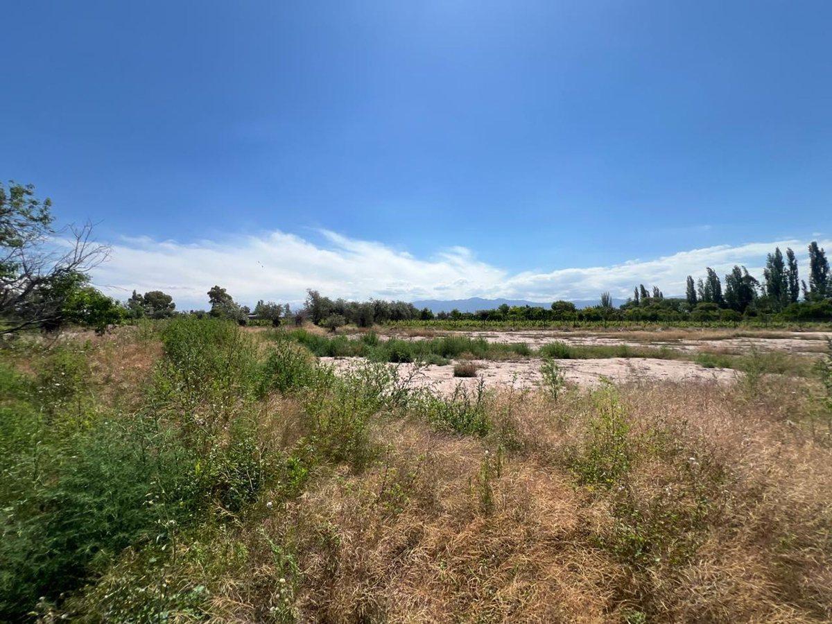 Foto de VENTA LOTE BARRIO CERRADO LUJAN DE CUYO MENDOZA, imagen 2