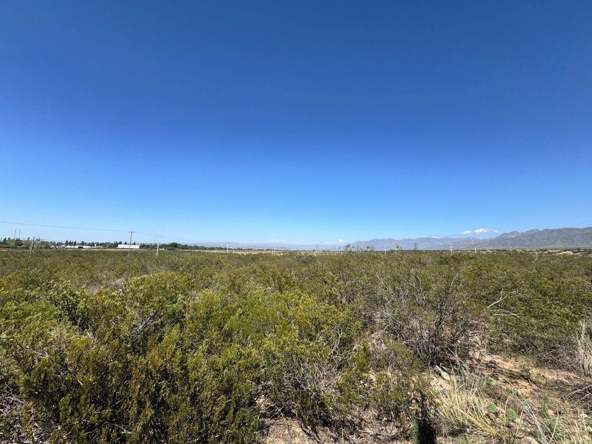 Foto de LOTE EN VENTA ESTANCIA EL CARAMILLO LUJAN DE CUYO, imagen 4
