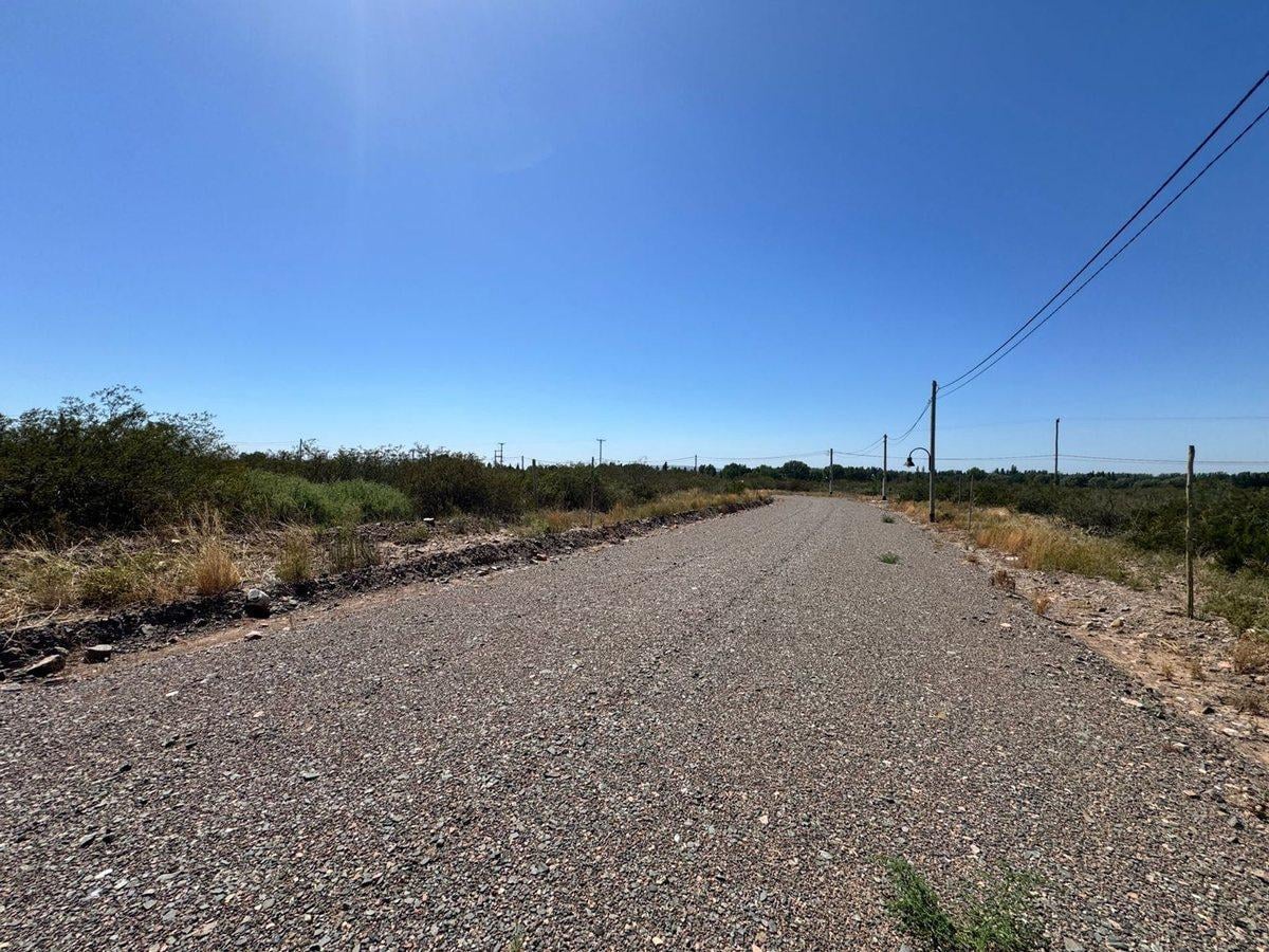 Foto de LOTE EN VENTA ESTANCIA EL CARAMILLO LUJAN DE CUYO, imagen 3