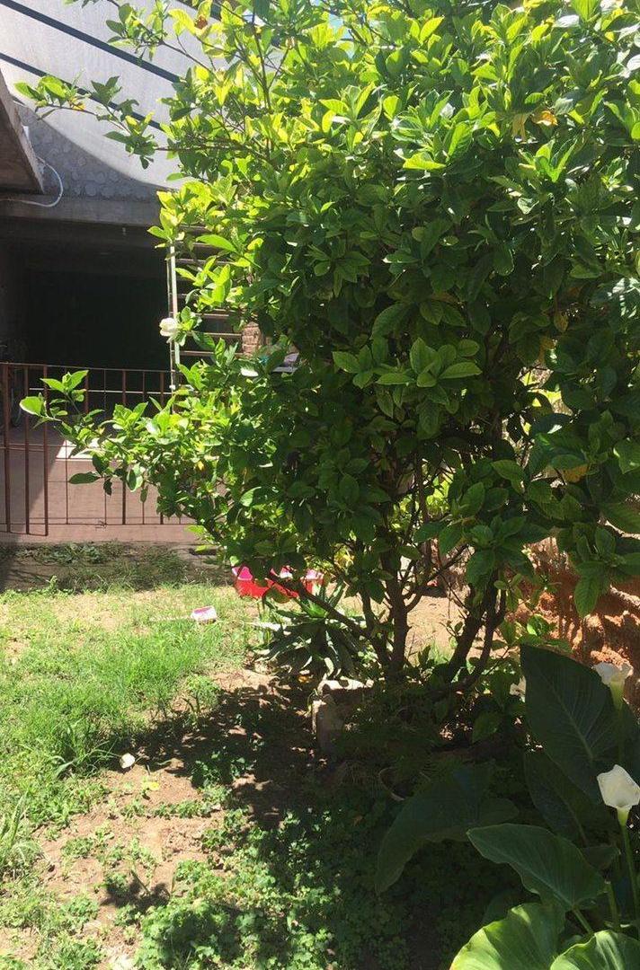Foto de VENTA DE CASA EN CALLE RAFAEL CUBILLOS 2131, imagen 1
