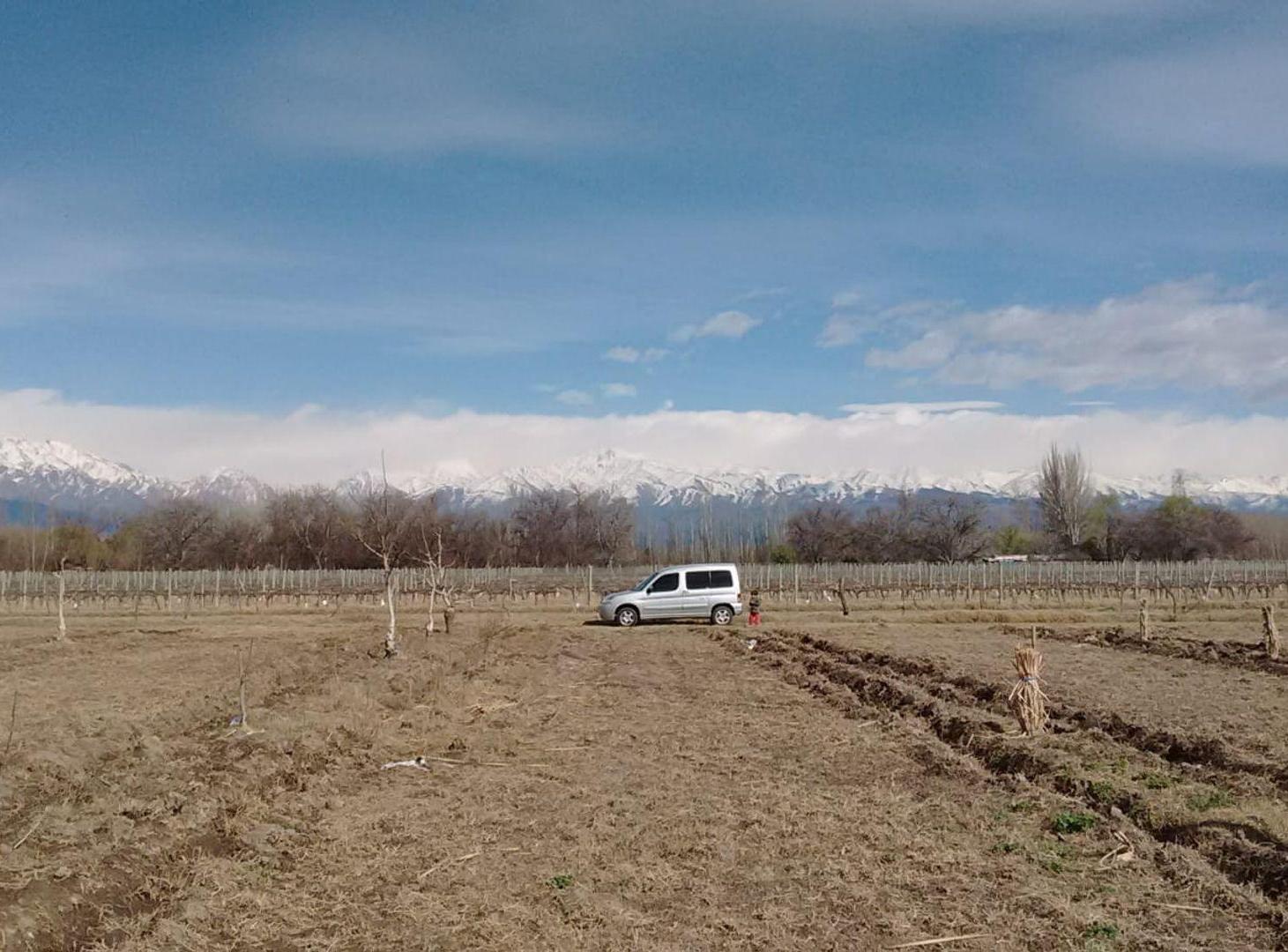 Foto de VENTA DE FINCA PRODUCTIVA EN COLONIA LAS ROSAS 4HA, imagen 3