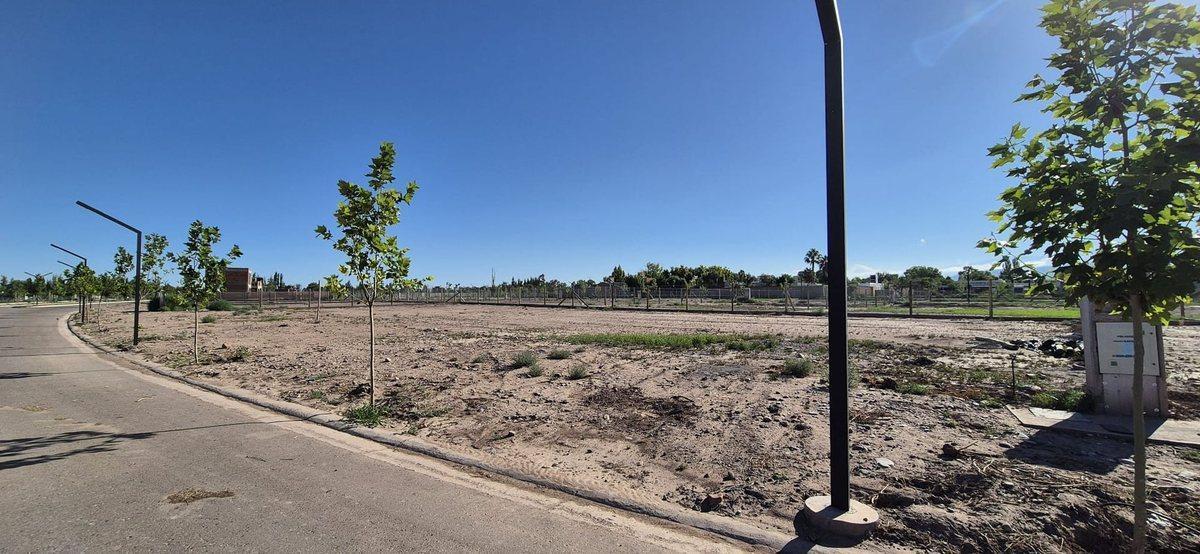 Foto de venta lote barrio quattro 629mts chacras de coria, imagen 5