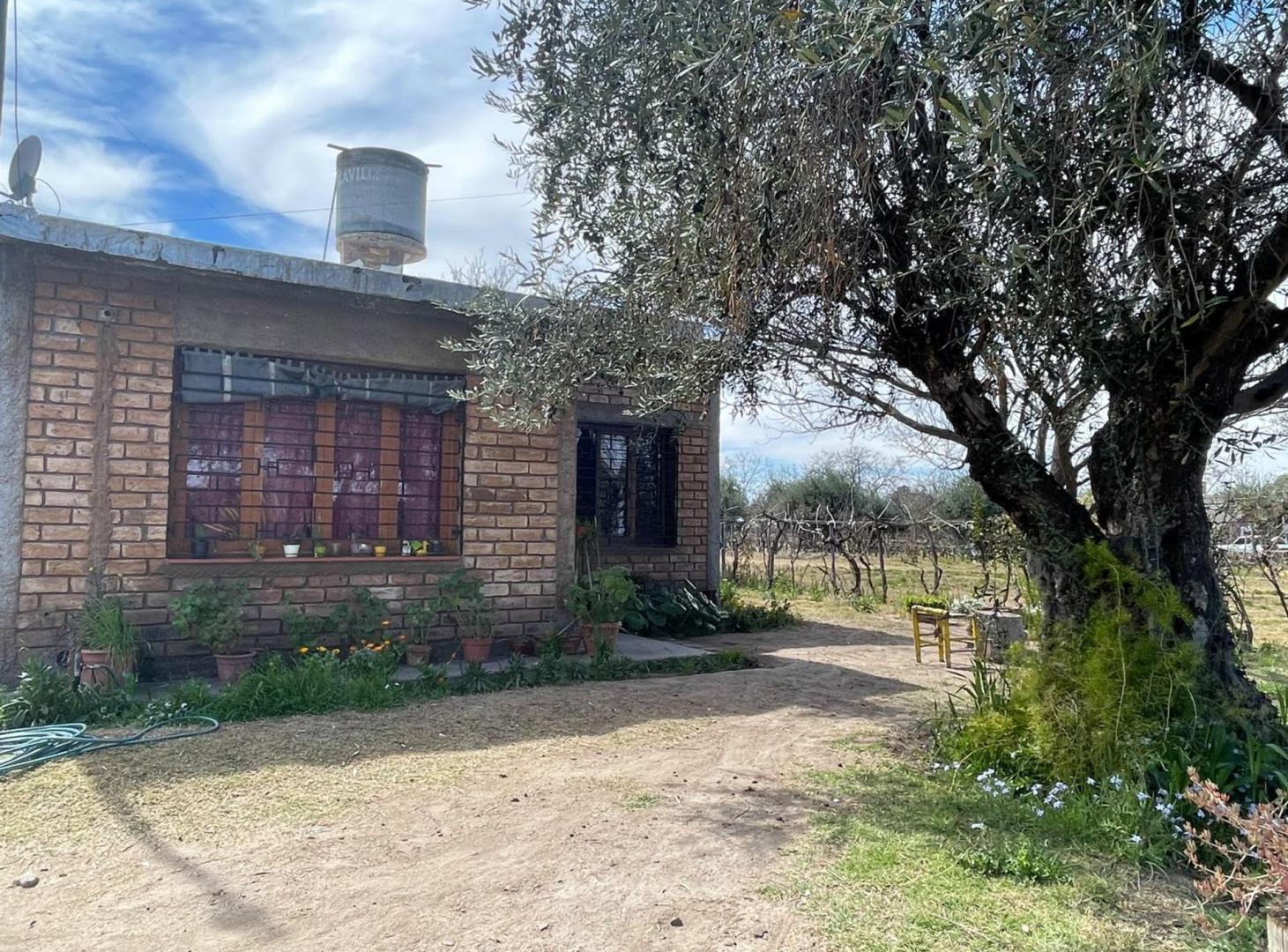 Foto de VENTA CASA CON GRAN TERRENO EN RIVADAVIA, MENDOZA, imagen 2