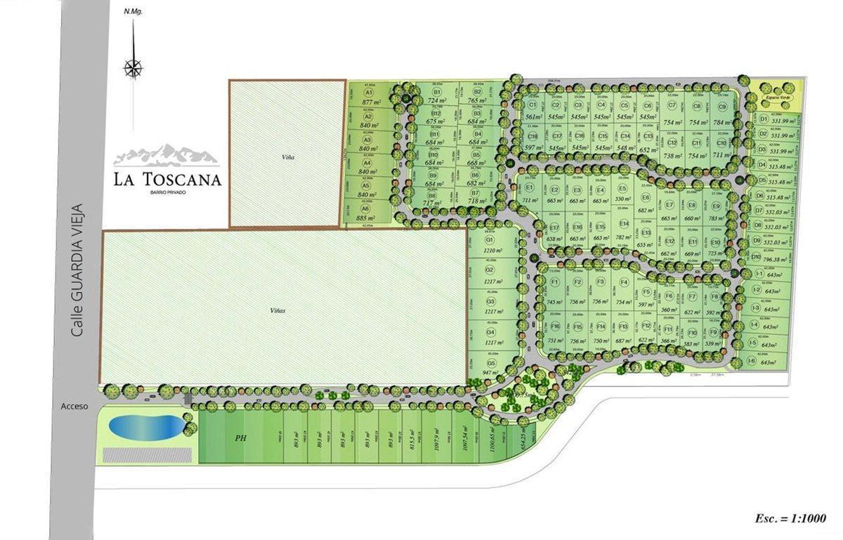Foto de Lote en Barrio Privado La Toscana, Vistalba, imagen 4