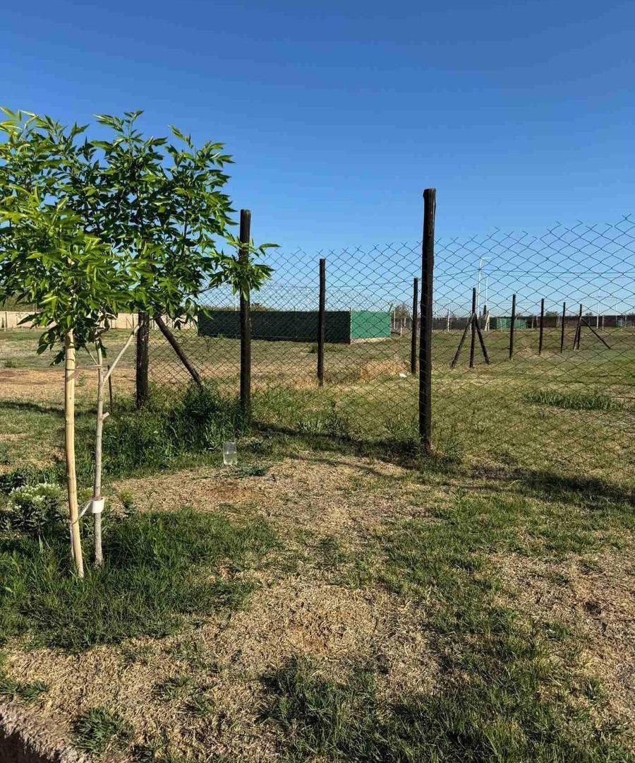 Foto de Lote en venta en Guaymallen, imagen 5