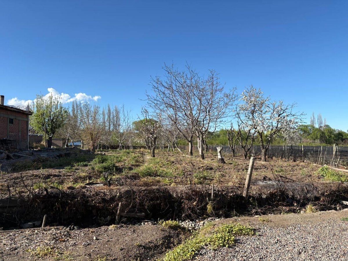 Foto de Venta lote en El Peral . Tupungato, imagen 5