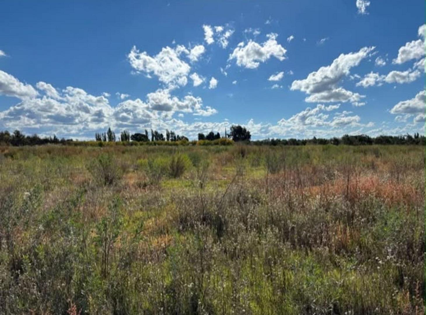 Foto de FINCA A LA VENTA EN SAN RAFAEL, imagen 2