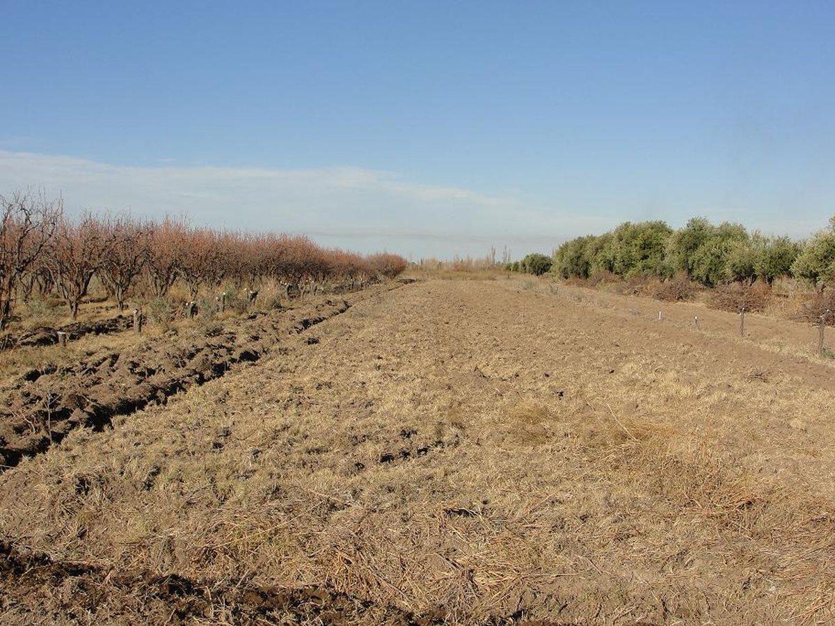 Foto de FINCA A LA VENTA EN SAN RAFAEL, imagen 1