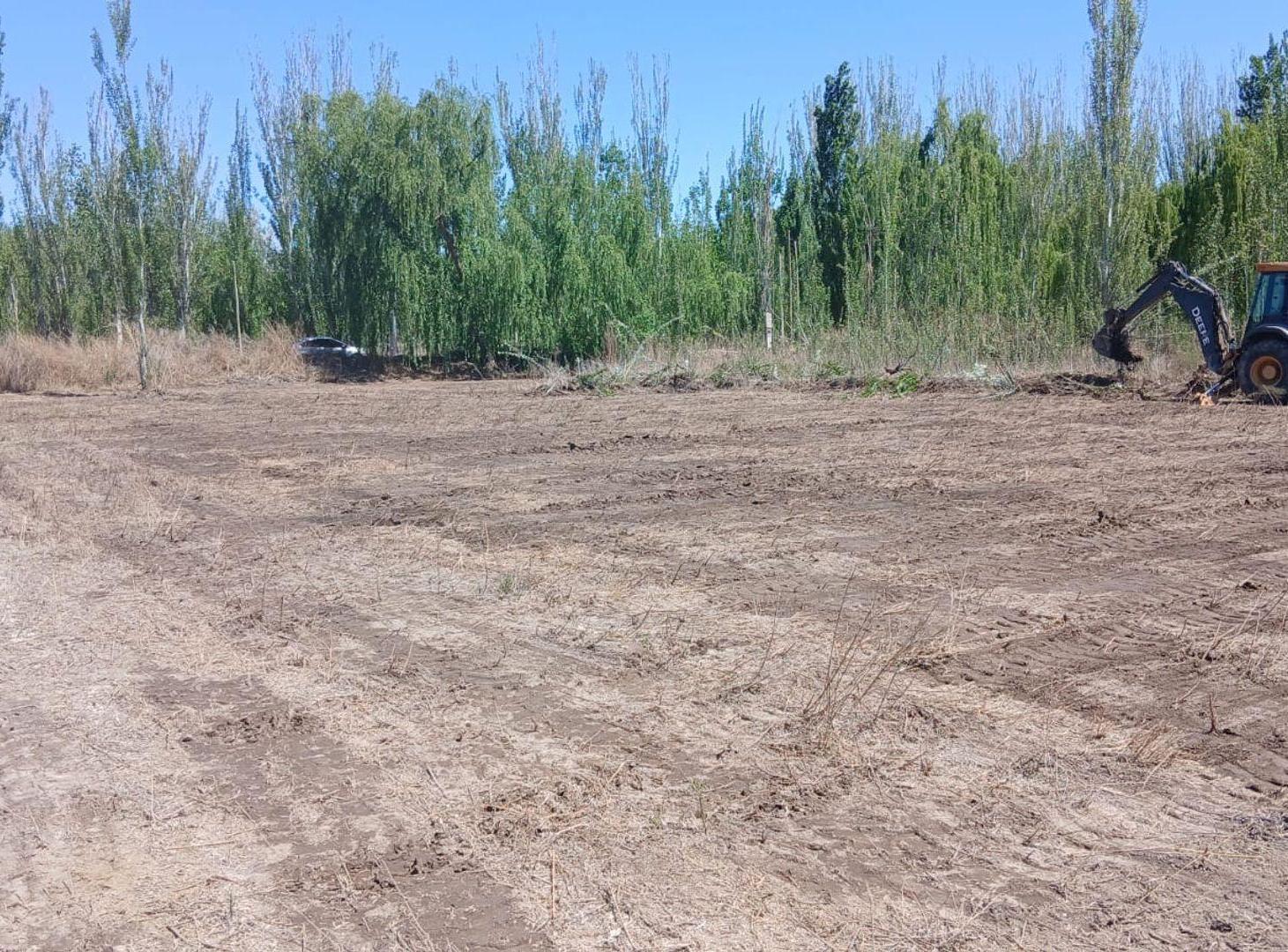 Foto de VENTA LOTE 4000 M2 FERRARI LOS CORRALITOS MENDOZA, imagen 3