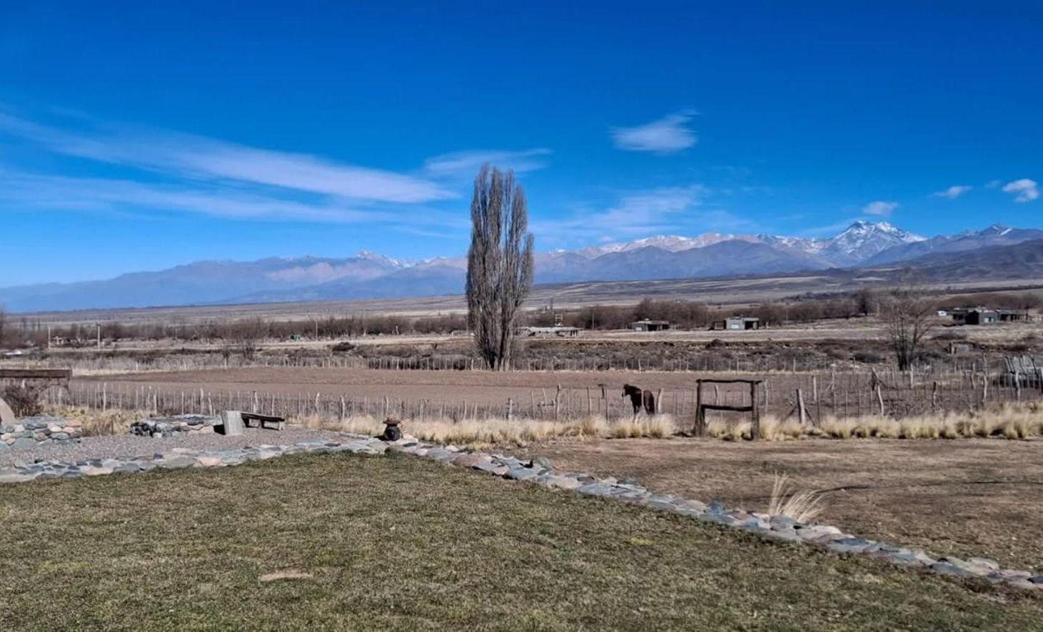 Foto de VENTA LOTE EN ESTANCIA LA ALEJANDRA, TUPUNGATO, imagen 3