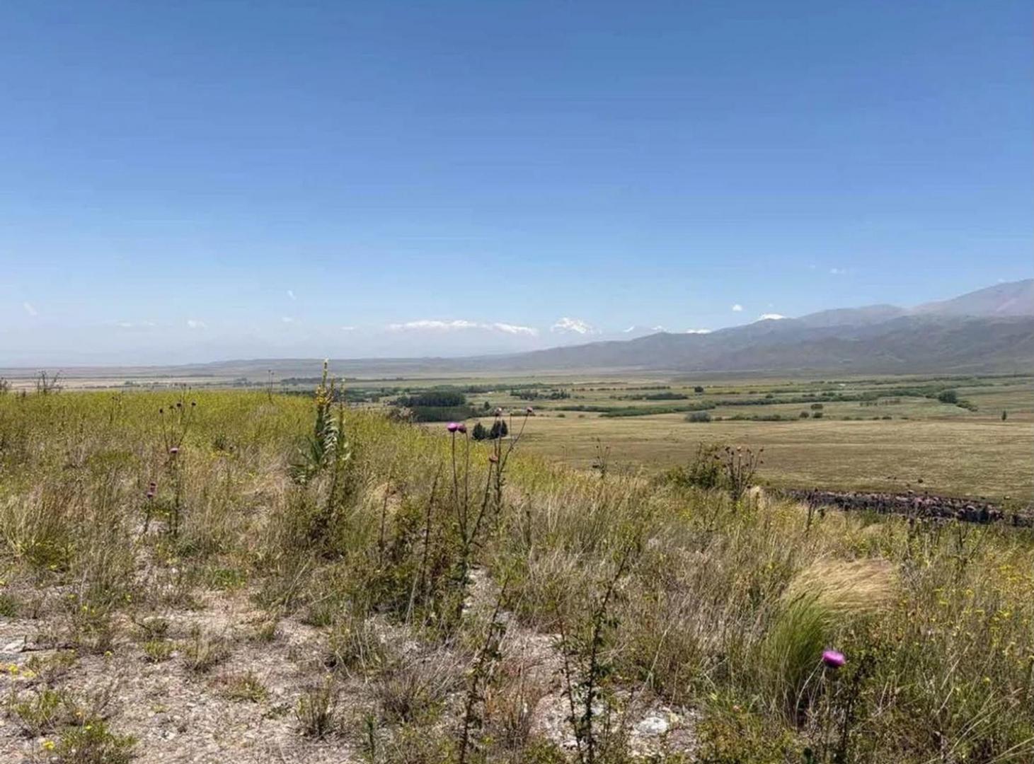Foto de LOTE EN VENTA – LAS CARRERAS, TUPUNGATO, imagen 3