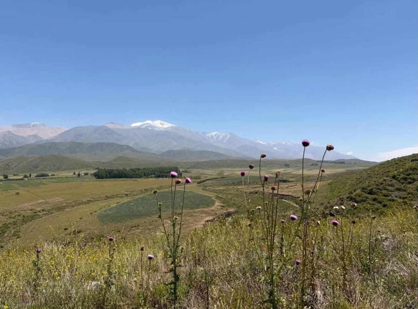 Foto de LOTE EN VENTA – LAS CARRERAS, TUPUNGATO, imagen 5