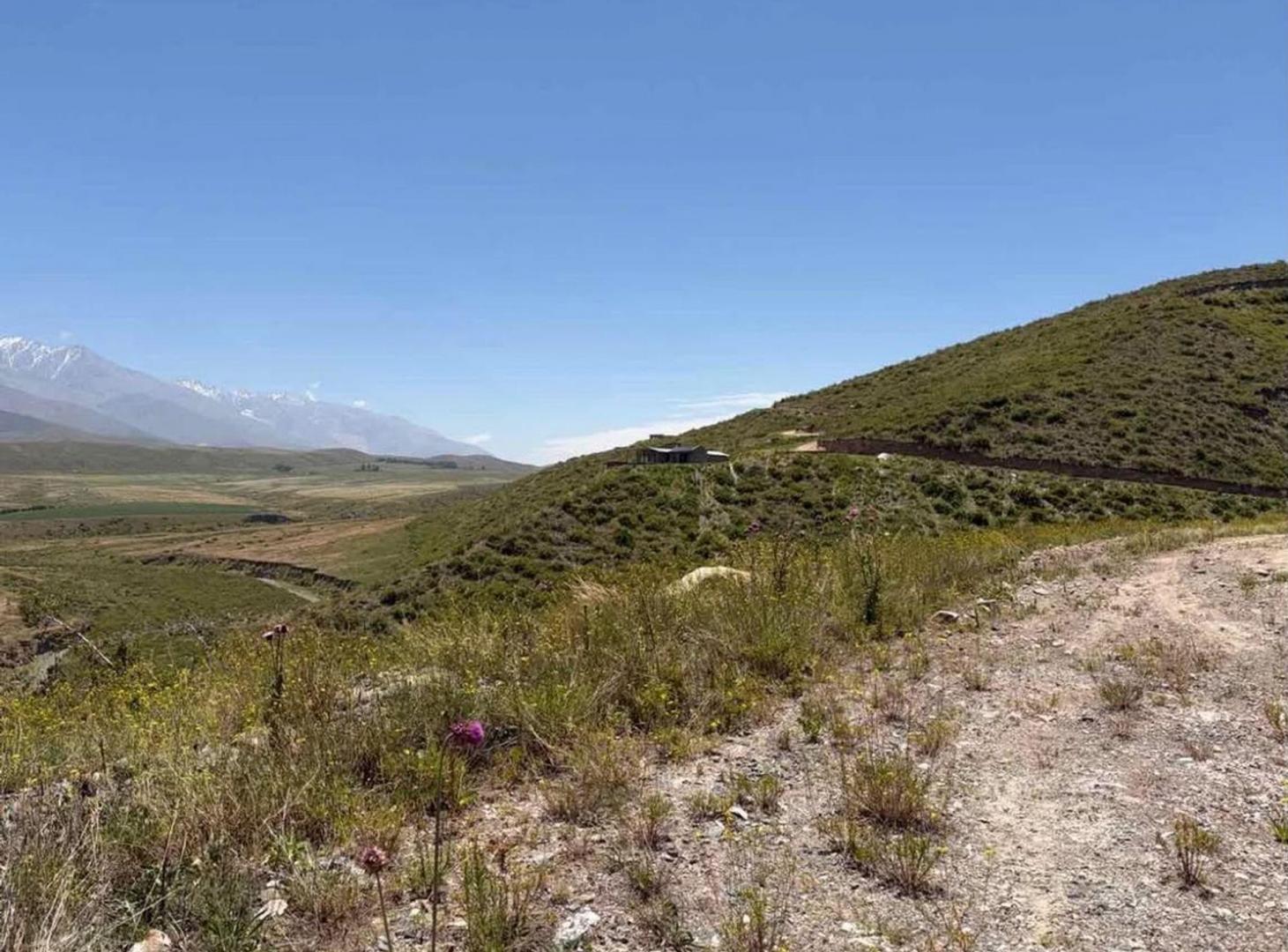 Foto de LOTE EN VENTA – LAS CARRERAS, TUPUNGATO, imagen 2