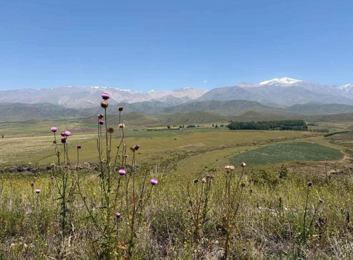 Foto de LOTE EN VENTA – LAS CARRERAS, TUPUNGATO, imagen 1