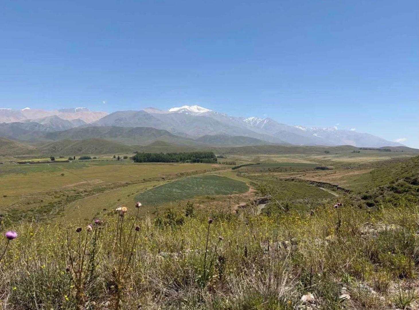 Foto de LOTE EN VENTA – LAS CARRERAS, TUPUNGATO, imagen 4