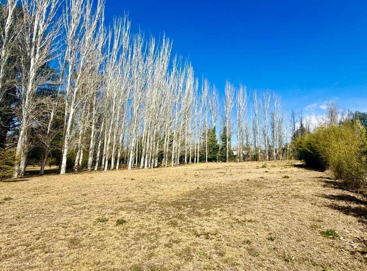 Foto de Terreno para desarrollo en venta. Chacras de Coria, imagen 5