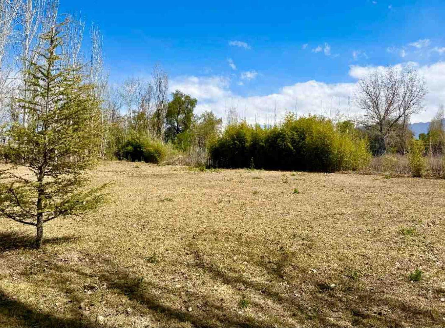 Foto de Terreno para desarrollo en venta. Chacras de Coria, imagen 3