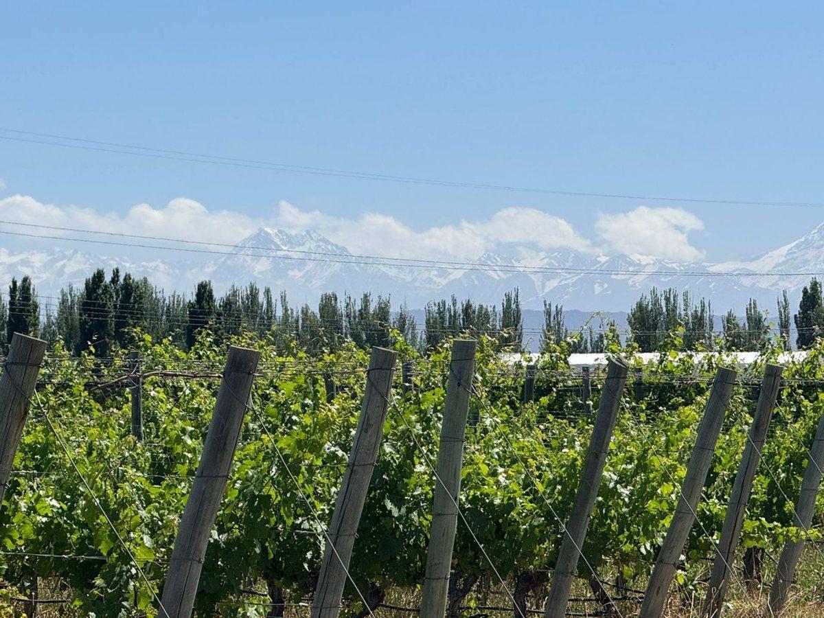 VENTA FINCA EN PEDRIEL LUJAN DE CUYO