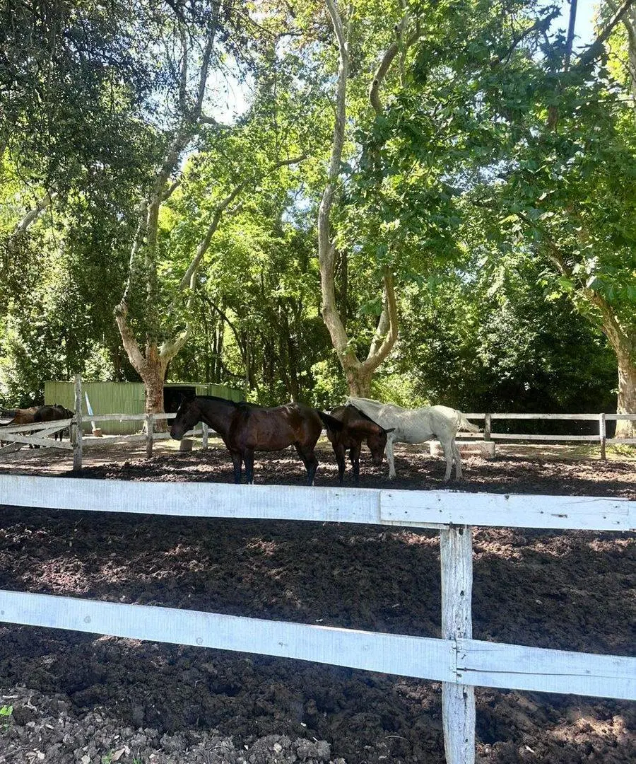 OPORTUNIDAD BAJO PRECIO - LOTE EN EST. VILLA MARÍA 5