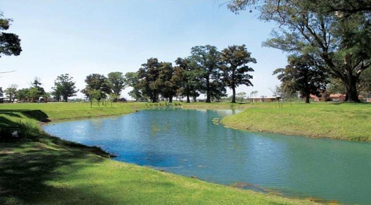 Foto de VENTA LOTE SAN LUCAS CANNING PERMUTA, imagen 2