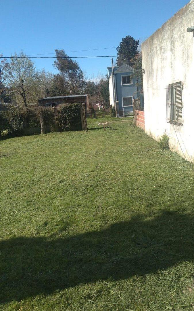 Foto de Casa doble lote c jardin zona Laguna San Vicente, imagen 3