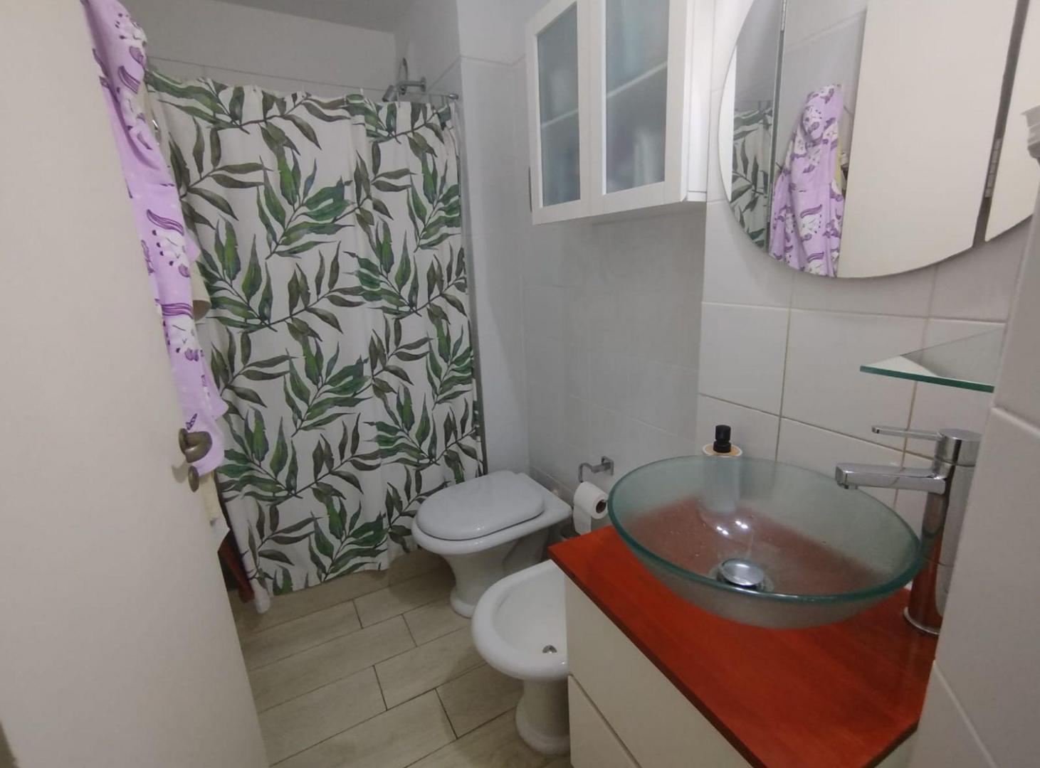 Foto de DEPARTAMENTO 3 AMBIENTES BALCÓN SAN MARTIN CENTRO, imagen 5