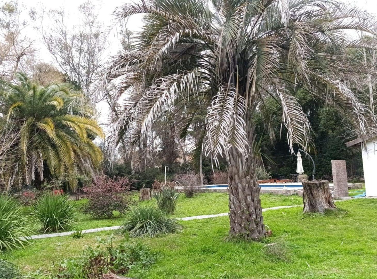 Foto de Venta Casa Quinta Pileta Parque Gral Rodriguez, imagen 3