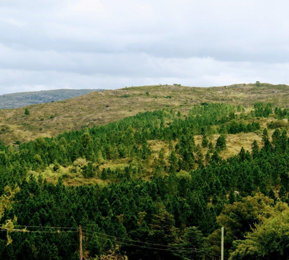 Villa Flor Serrana, Lote, Vista Panorámica. Escritura y Servicios 1
