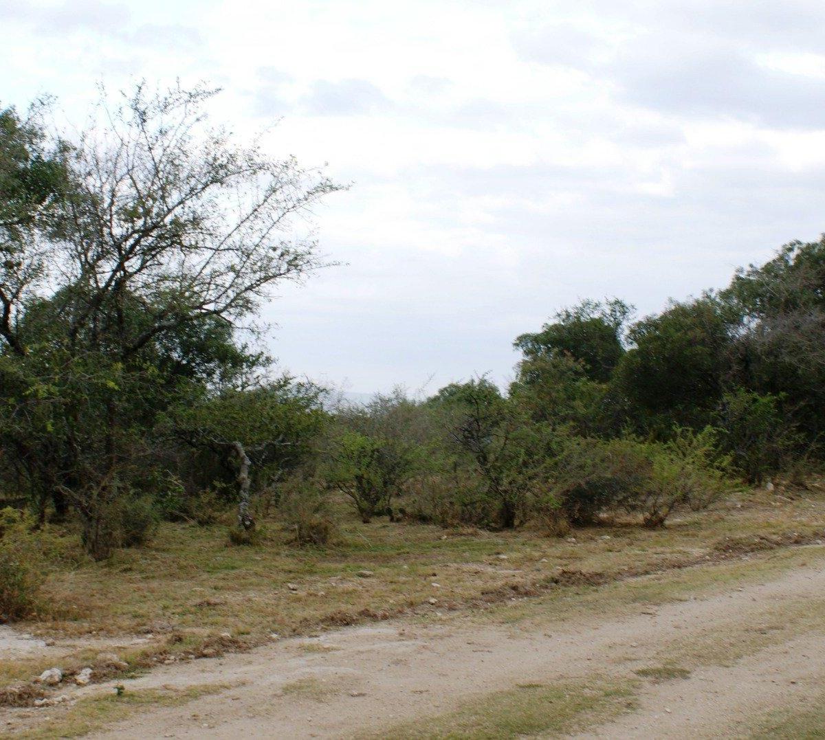 Lote Plano y Arbolado Villa Flor Serrana. Tanti. 4