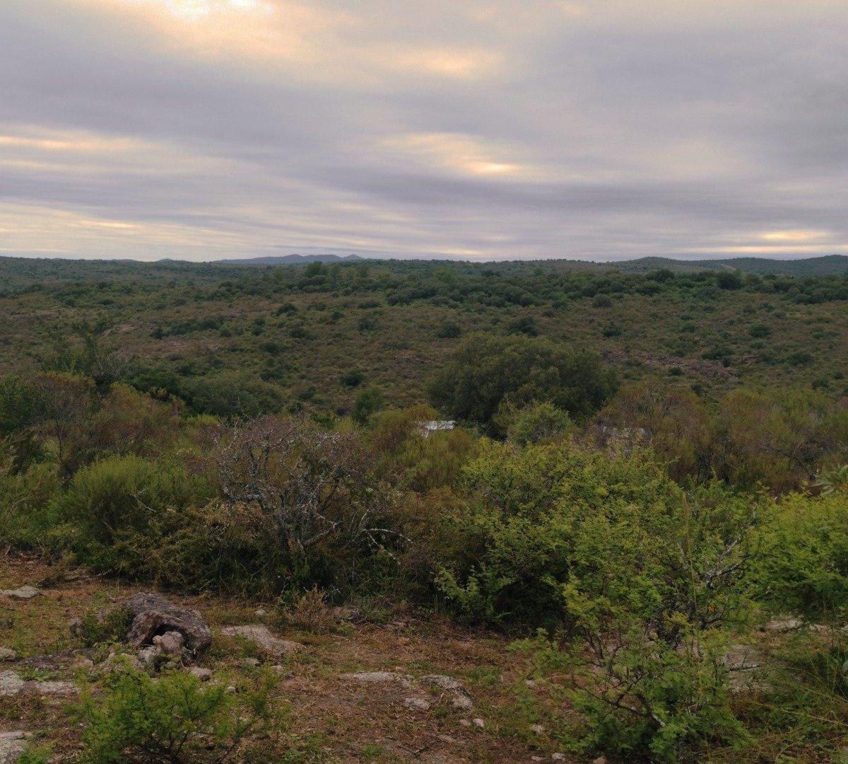 Lote en Flor Serrana, La Mejor Vista, Llano, 840 m² 2