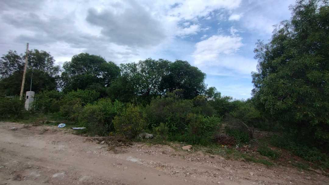 Terreno en Tanti, Flor Serrana, Plano y Arbolado. 1
