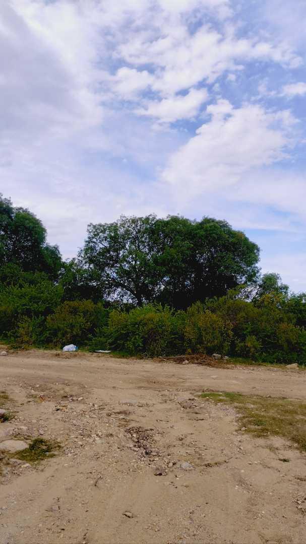 Terreno en Tanti, Flor Serrana, Plano y Arbolado. 2