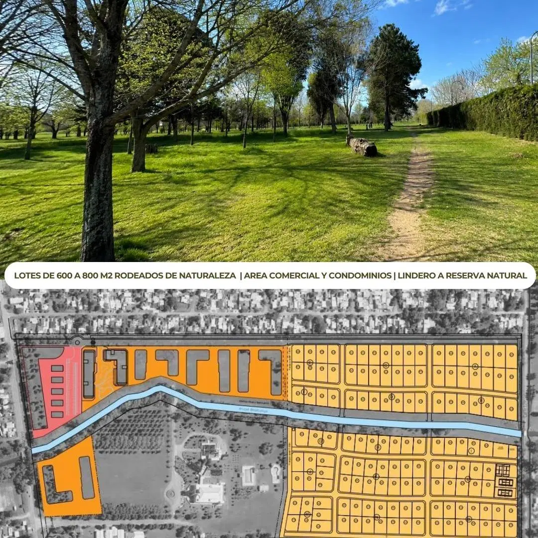 Lote en venta en Fincas de San Juan, ¡imperdible oportunidad! 5