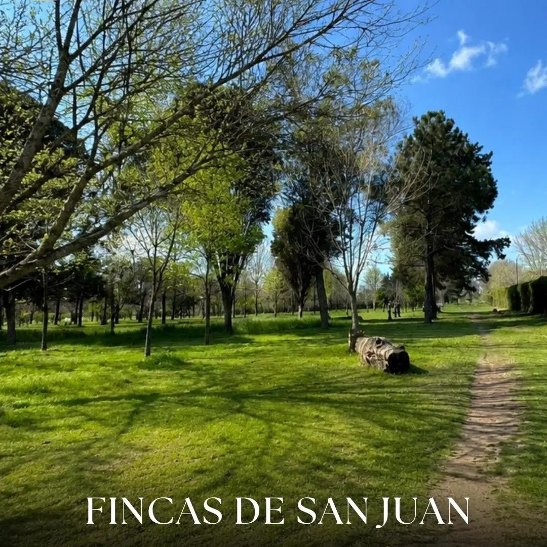 Lote en venta en Fincas de San Juan, ¡imperdible oportunidad! 3
