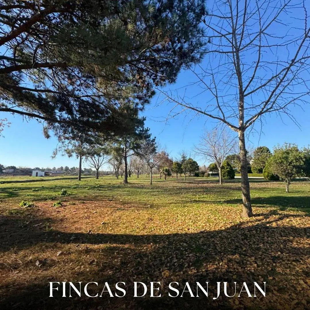 Lote en venta en Fincas de San Juan, ¡imperdible oportunidad! 6