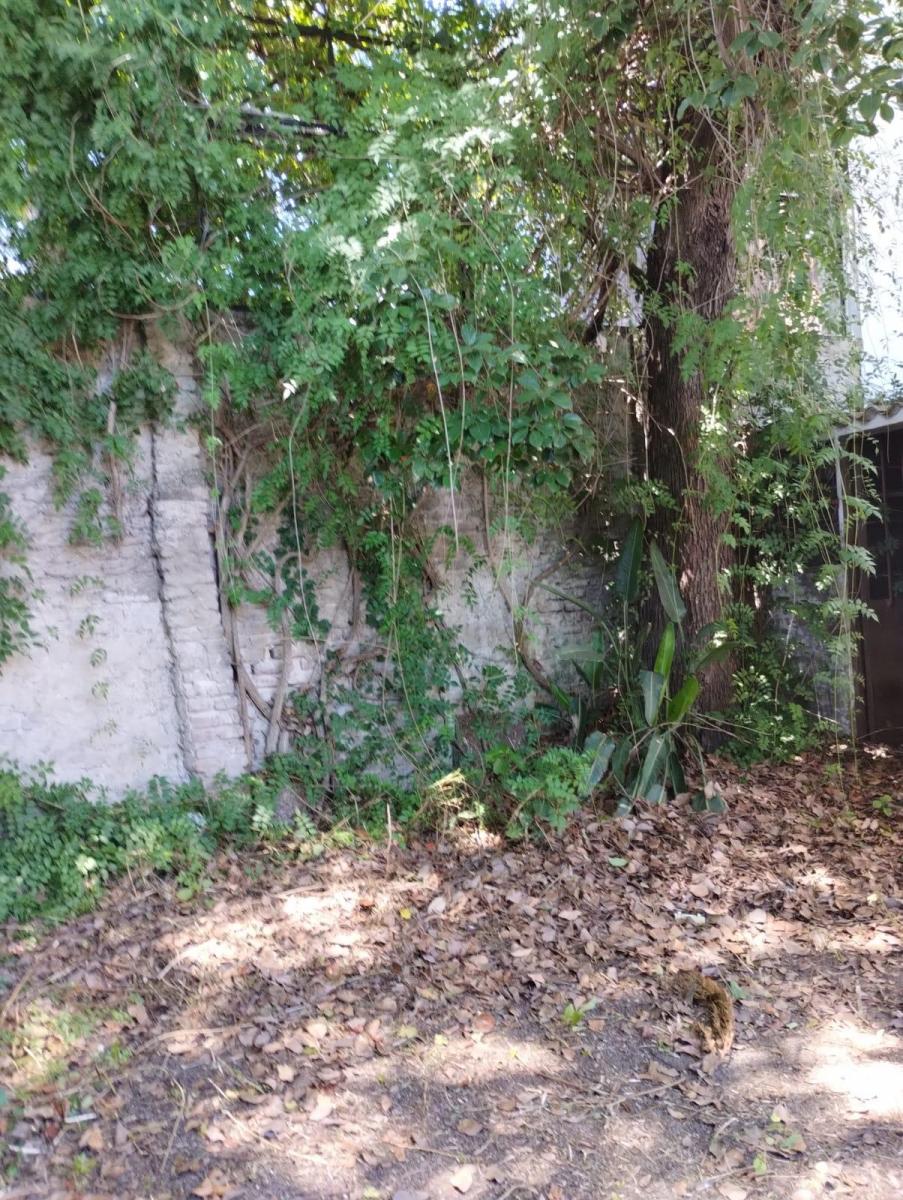 CASA DE CUATRO AMBIENTES CON FONDO VERDE Y QUINCHO.