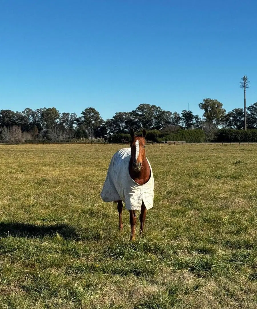 Venta Lote Santa Maria de Lobos Ruta Provincial 41 5
