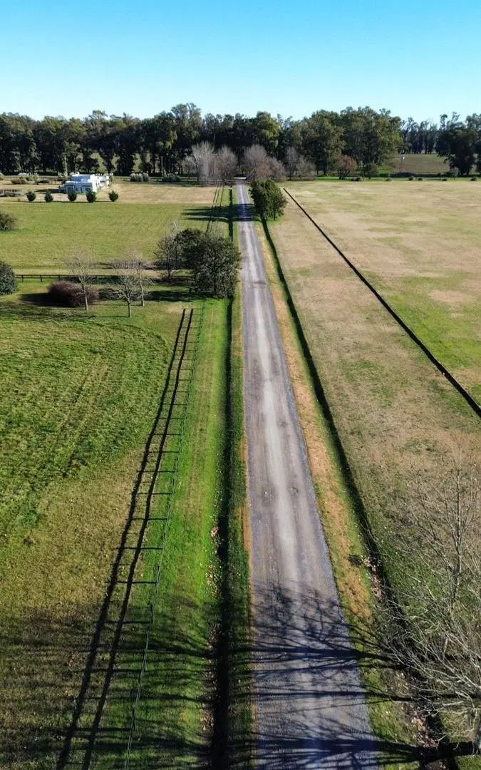 Venta Lote Santa Maria de Lobos Ruta Provincial 41 3