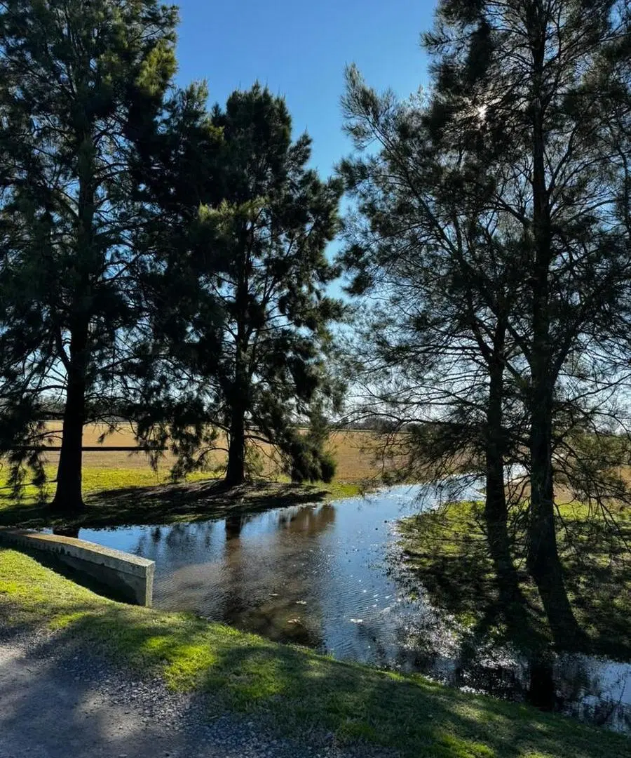 Venta Lote Santa Maria de Lobos Ruta Provincial 41 4