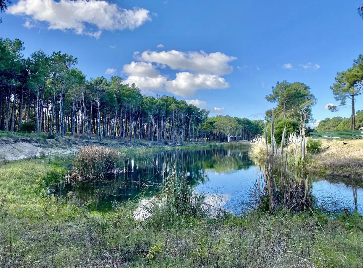 Lote de terreno con costa de laguna en Villa Robles 1