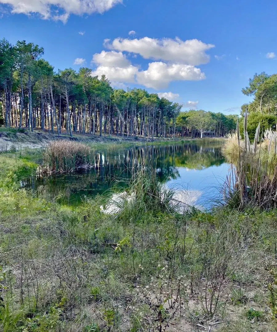 Lote de terreno con costa de laguna en Villa Robles 5