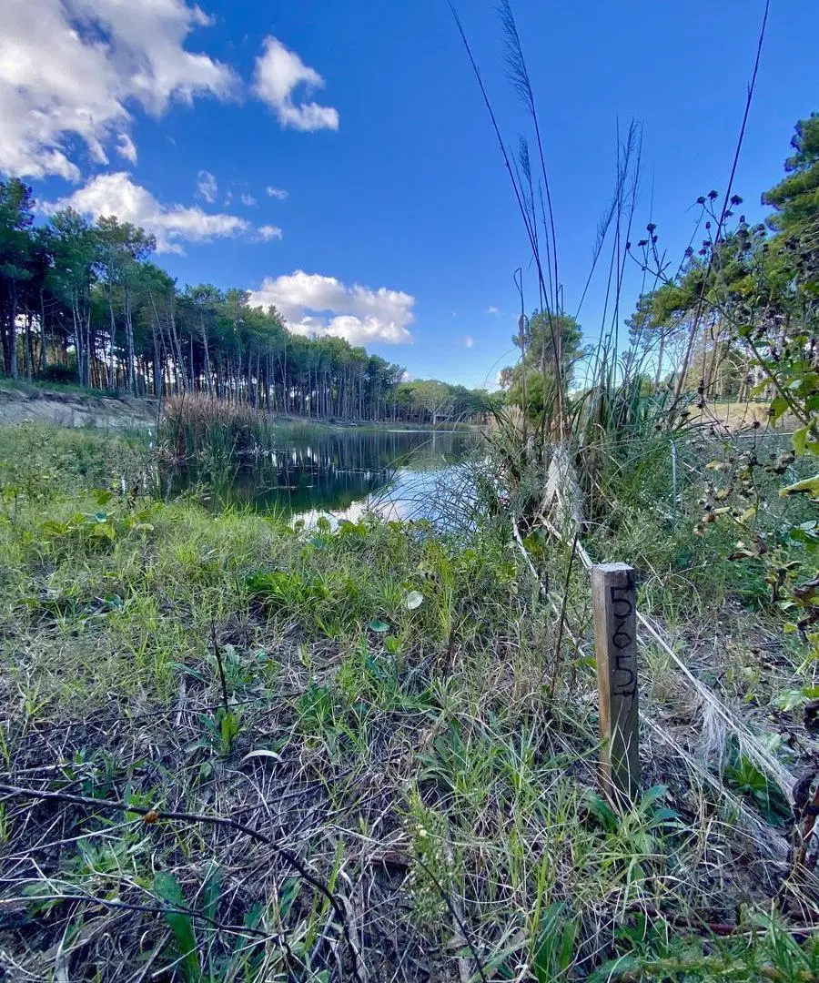 Lote de terreno con costa de laguna en Villa Robles 2