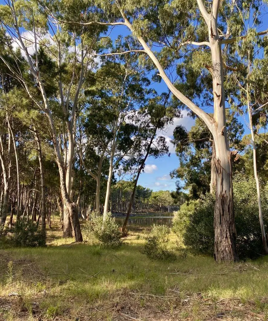 Lote de terreno con costa de laguna en Villa Robles 3