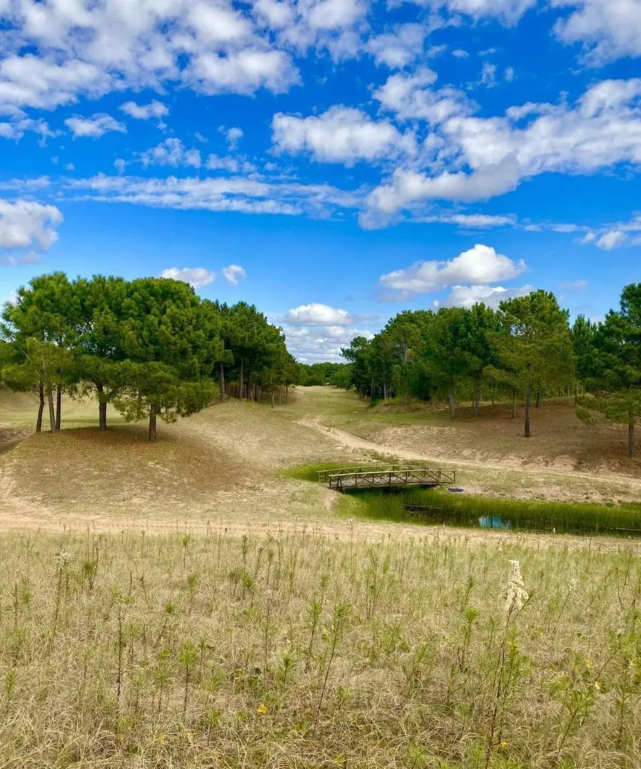 Lote de terreno con costa de laguna en Villa Robles 8