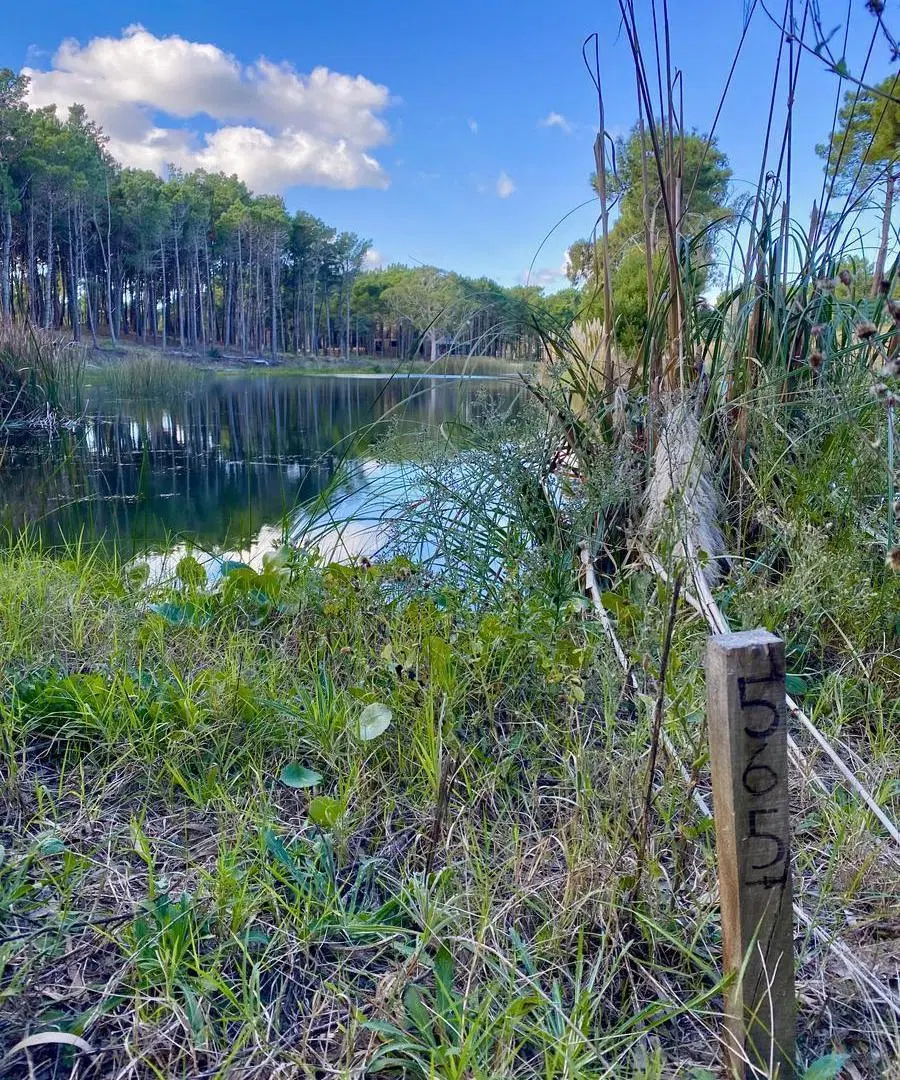 Lote de terreno con costa de laguna en Villa Robles 4